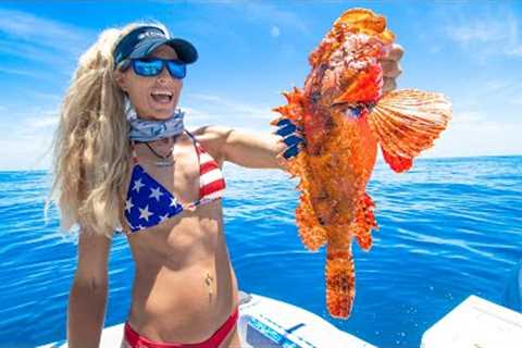 This Fish Can KILL You! Catch Clean Cook- DEADLY VENOMOUS Scorpionfish!