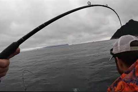 2022 1 Week's worth of fishing