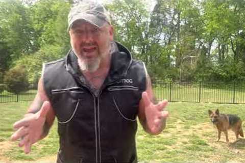Dog training rant in response to heated Facebook post