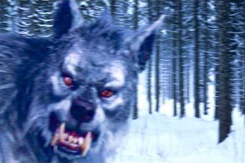 WARNING:  Super Creepy Trail Videos That No One Can Explain