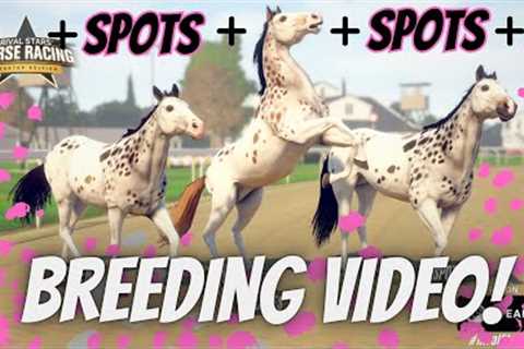 SPOT ATTACK!! Rival Stars Horse Racing Breeding