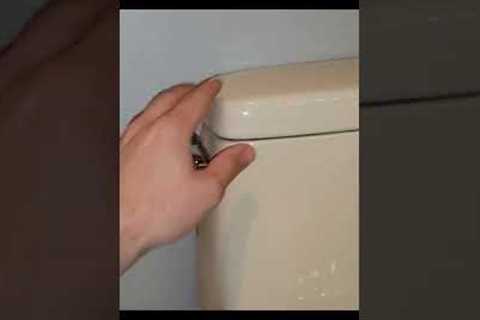 Training day for toilets. Full video pinned in comments #plumbing #handyman #viral #servicecall