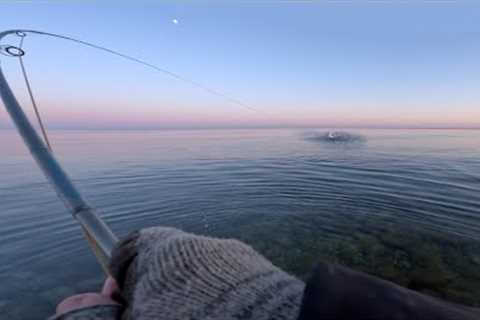 Dead Flat Surface and Picky Rising Sea Trout on the Coast