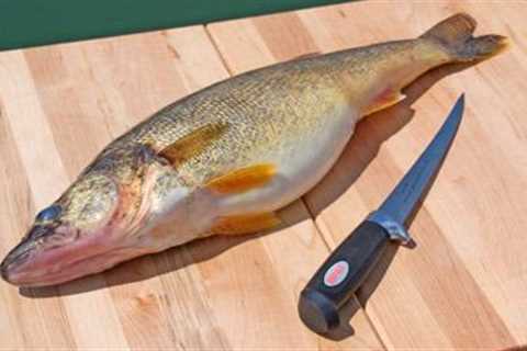 How to Fillet Fish - Freshwater