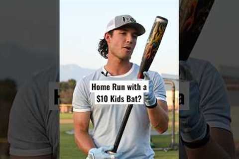 Can a $10 kids bat hit a homerun?  This was the first bat I ever swung 🔥 #baseball #baseballlife