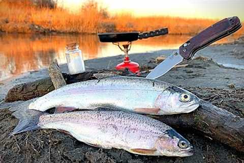 RAINBOW TROUT Fishing CLEAR REMOTE Creek!!! (Catch &amp; Cook)
