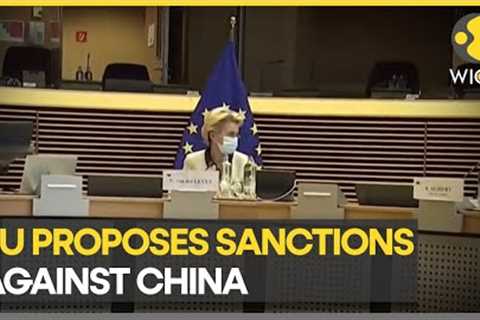 EU takes aim at companies aiding Russia's war machine | Latest News | World Business Watch | WION