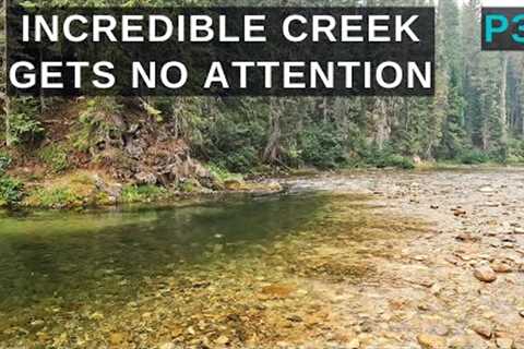 Incredible trout fishing in a wilderness setting - My last day in Idaho! p31