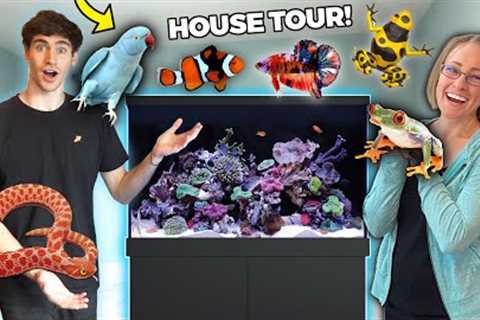 ALL HER EXOTIC PETS + FISH... (HOUSE TOUR!!)