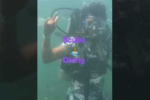Goa Tour || Scuba diving |Island