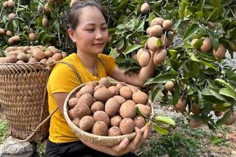Harvesting Fresh Fruits in the Village goes to the market sell  - Animal Care | PRIMITIVE SKILLS