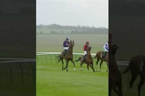 Jockey gets kicked by horse