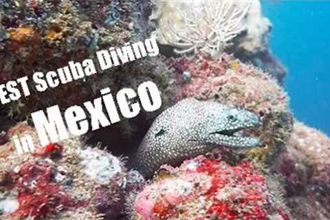 Scuba Diving Travel Vlog | Puerto Vallarta, Mexico 2022