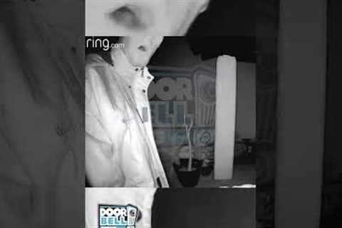 Catch These Hands (Caught on Ring Doorbell)