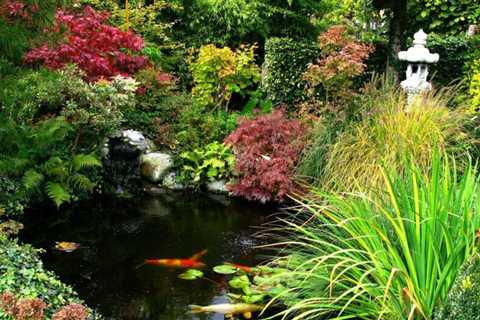What You Need to Know about Backyard Koi Ponds