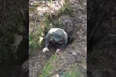 Well, well! The horror of the German bunker!