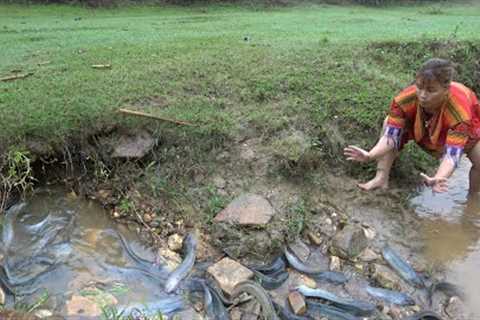 Video Survival Skills. Skills Catch Many Fish &amp; Living In The Rainforest. Catch Fish By Hand