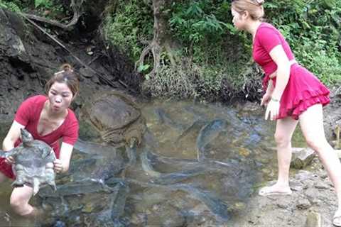 Survival Skills: The Girl Using Pump Suck Water In The Lake, Catching Many Fish, Turtles In The Lake