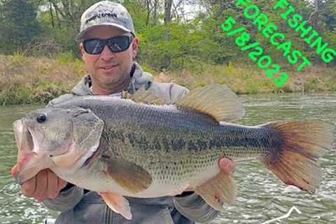 Mossy Creek Fly Fishing Forecast 5/8/2023