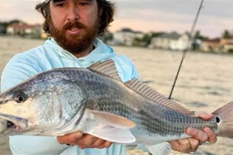 How To Quickly Find The Best Inshore Fishing Spots (Without Spending Every Day On The Water)