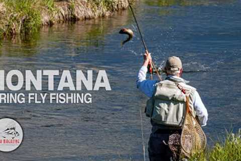 Spring Creek FLY FISHING: BIG FISH Knee Deep in Montana’s Madison Valley