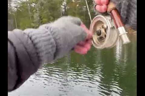 I Made ONE FLY CAST...&amp; THIS HAPPENED