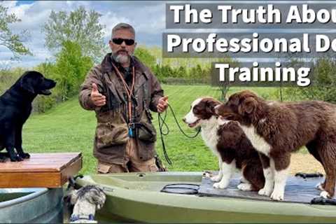 The Truth About Dog Training - Are Board &amp; Train Programs Effective?