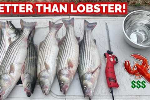The FISH That Tastes BETTER THAN LOBSTER!!! -- CATCH &amp; COOK it THIS WAY! (AMAZING)