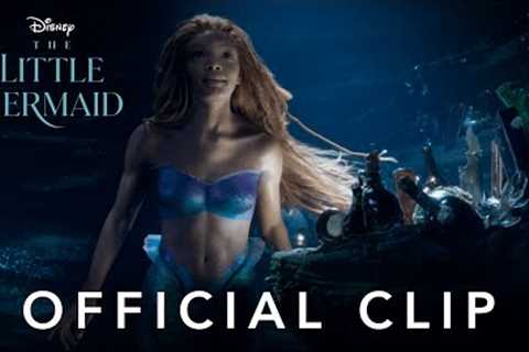 The Little Mermaid | Part Of Your World