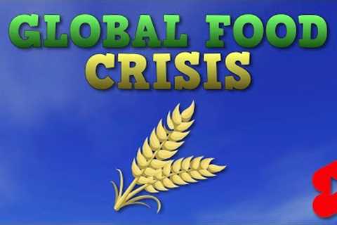 Are we in the middle of a global food crisis? #Shorts