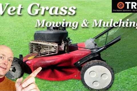 Cutting Wet Grass with a Lawn mower (Mulching Vs Collecting)