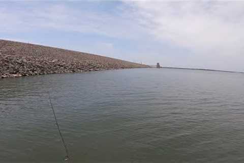 The dam on this lake was absolutely covered in fish! Never seen it like this before! May 2023!