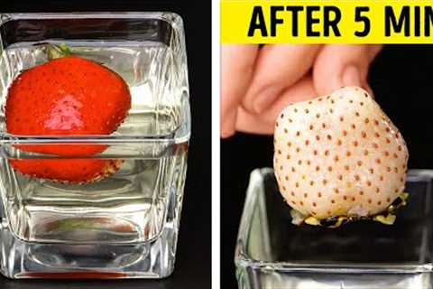 AMAZING SCIENCE EXPERIMENTS COMPILATION || DILUTE YOUR DAILY LIFE!