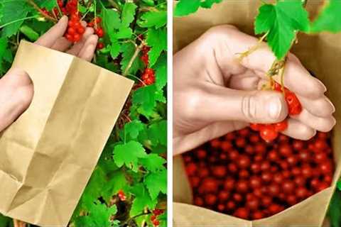 Gardening Tips And Tricks For Plant Lovers