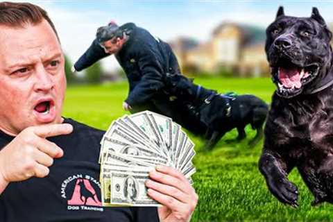 CAN YOU OUTRUN AN ATTACK DOG FOR CASH?!