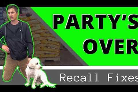 Get your Dog to Come to you Every Time in 3 Steps - Most Effective Approach for Faster Results.
