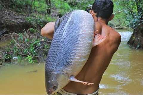 Amazing! Cooking Biggest Fish 26.5kg in Forest Eat to Survival