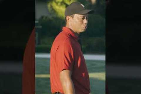 When I'm flushing it, I don't take divots. - Tiger Woods | TaylorMade Golf