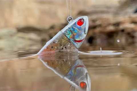Beginners Guide to Soft Plastics  (PT1)