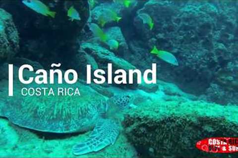 Isla del Caño - Scuba Diving Tour