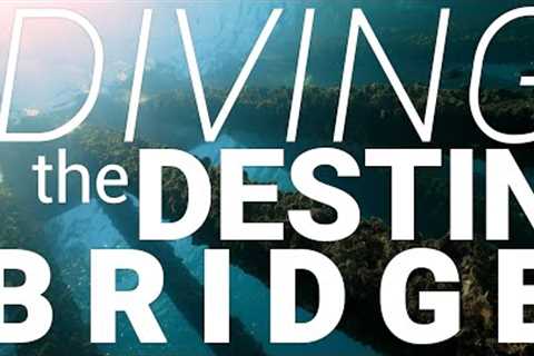 SCUBA DIVING THE DESTIN BRIDGE- ShaneOgoeS deep
