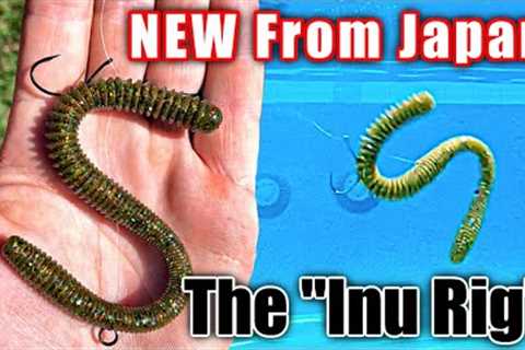 The Inu Rig | The Most Realistic Worm Rig EVER (Underwater Footage)