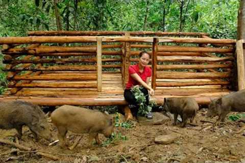 Build a barn for wild boars, Take care of them, forage for them, Develop the farm | Primitive Skills
