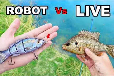 ROBOTIC FISHING LURE Vs. LIVE BAIT For Big Bass (Male KAREN Hates Fisherman!)