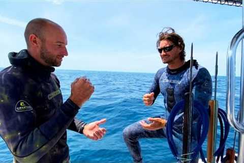 Shark attack near us while spearfishing catch and cook
