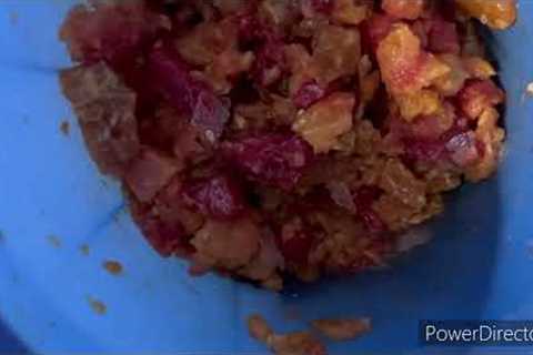 How to make Fermented fruit juice fertiliser in Chohan Q method #chohanq #fermentedfruitjuice