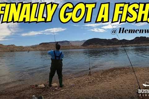 Lake Mead Fishing | Finally Got One