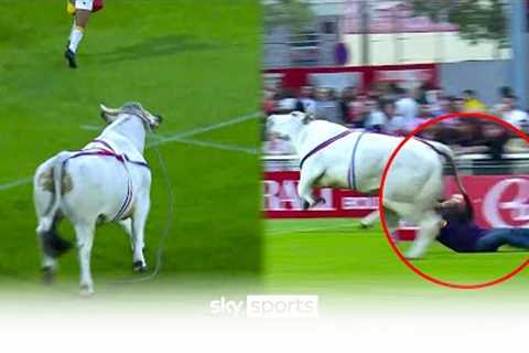 Bull ESCAPES in Rugby League warmup! 😱