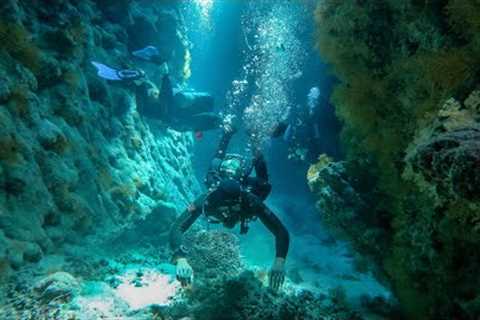 Liveaboard trip: Red Sea (Egypt) in 2019 - 4K