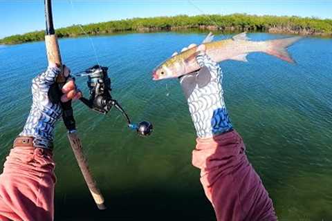 BIG FISH On The Flats In Crystal Clear Water! Snook and Tripletail Fishing
